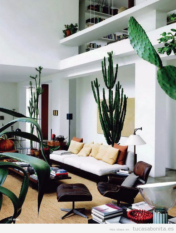 Ideas sala de estar con cactus
