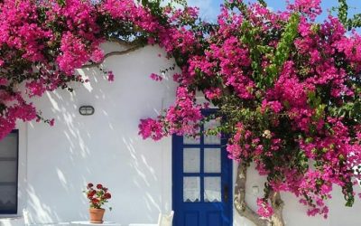 La cuenta de Instagram con las puertas más bonitas del mundo