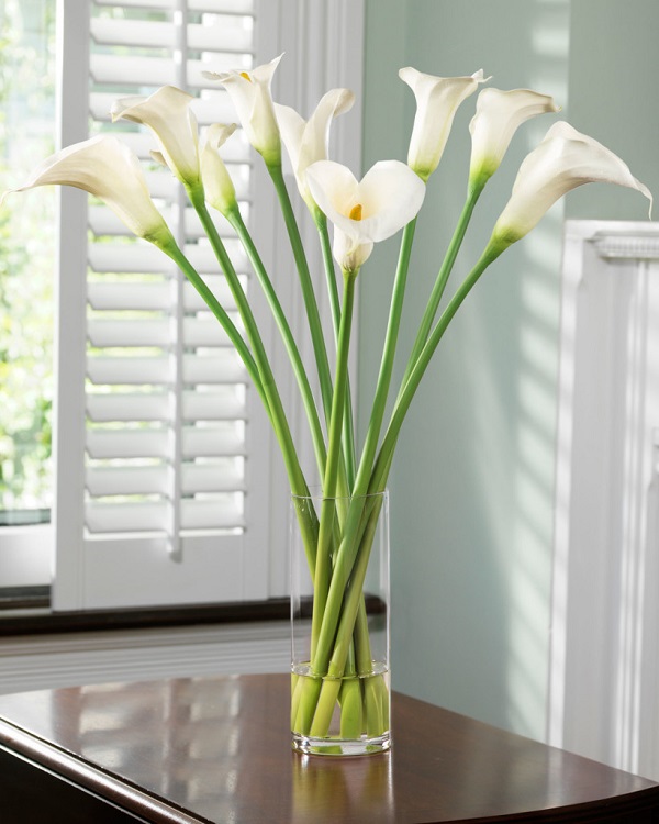 Flores más bonitas para decorar tu casa, calas o lirios