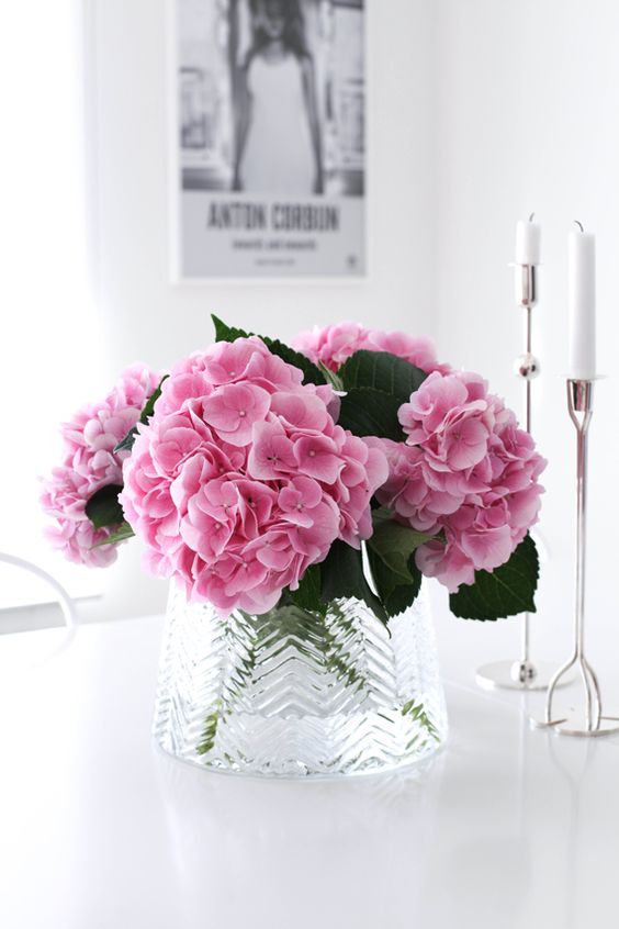 Flores más bonitas para decorar tu casa, hortensias