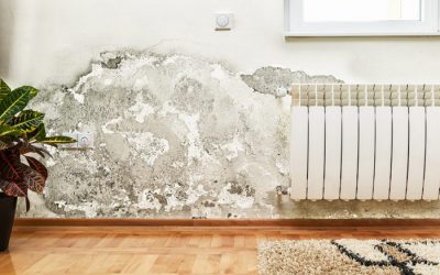 ¿Cómo evitar humedades en las paredes del hogar?