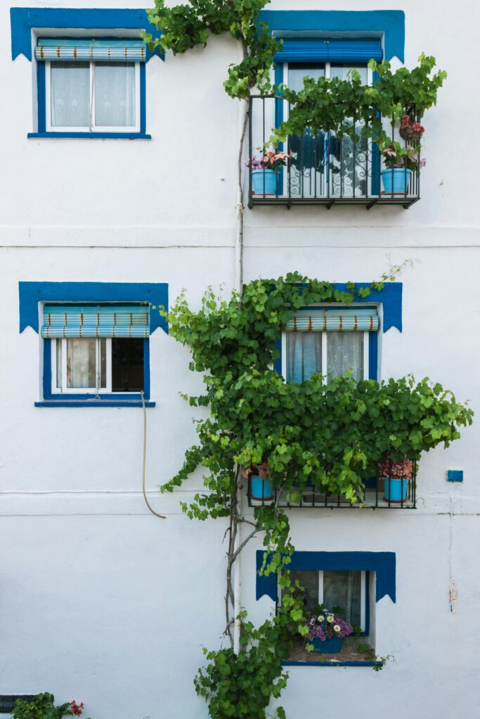 Árboles en los balcones