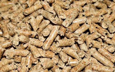 Confort en el hogar: cómo calentar varias habitaciones con estufas de pellets